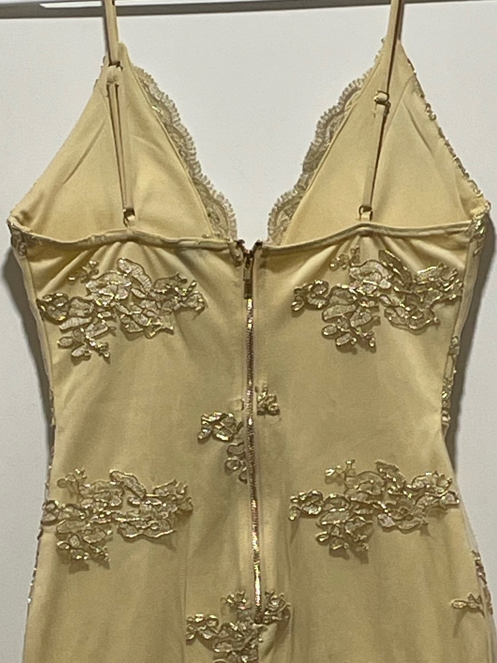 Windsor Bodycon Womens XS? Lace Embroidered Slip Dress Scalloped V-Neck No Tag - Picture 8 of 12